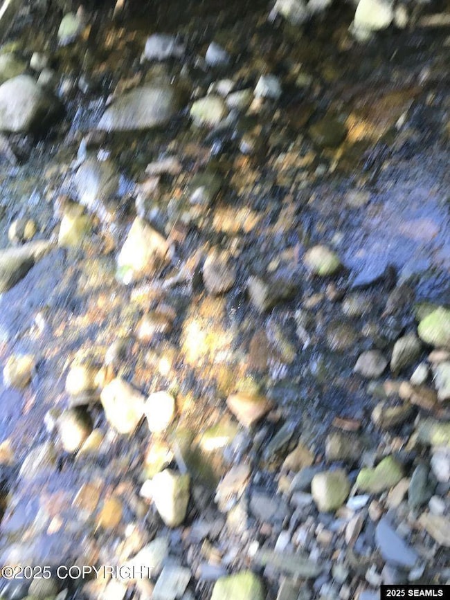 Wrangell Narrow Legal Address Only unit Lot 12, Petersburg, AK 99833 - photo 6