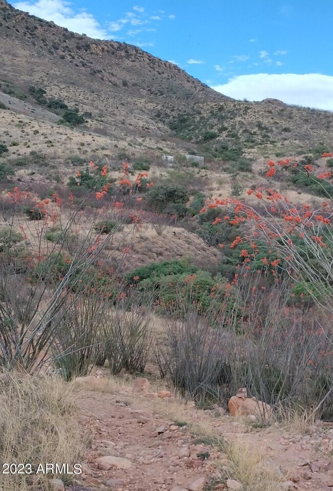 127 N Lupine Rd unit 23, Bisbee, AZ 85603 - photo 2