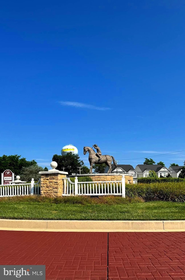 Carousel Image