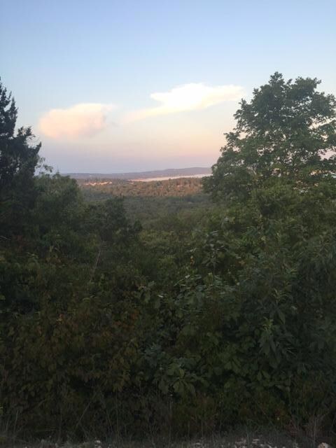 Lots 7-13 Foxcroft Estates Dr, Ruth B Rural Township, MO 65686 - photo 4