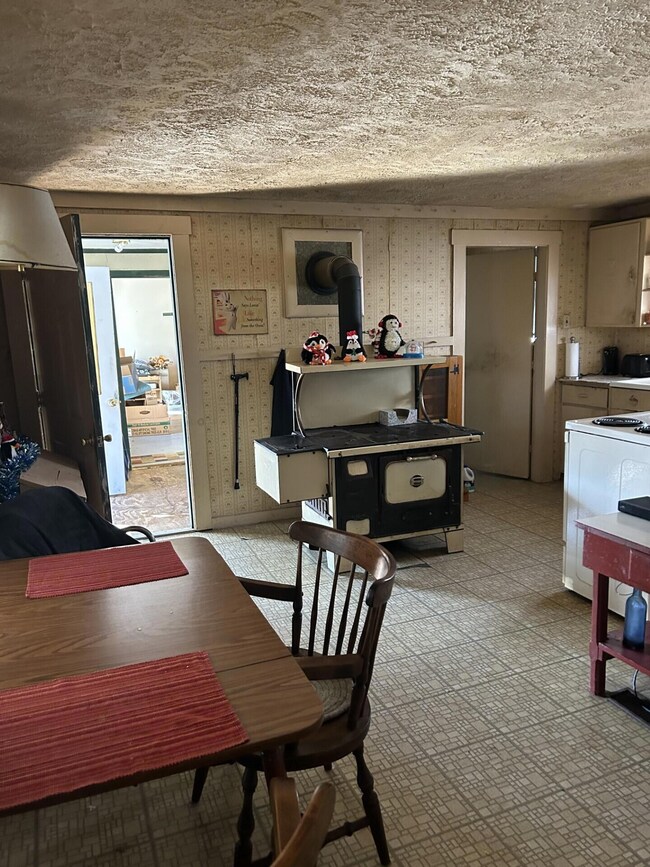0391 kitchen wood stove