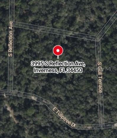 3995 S Reflection Ave, Inverness, FL 34450 - photo 2