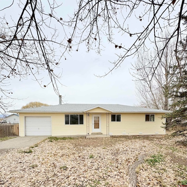 10728 Mesa View Dr, Austin, CO 81410 - photo 3