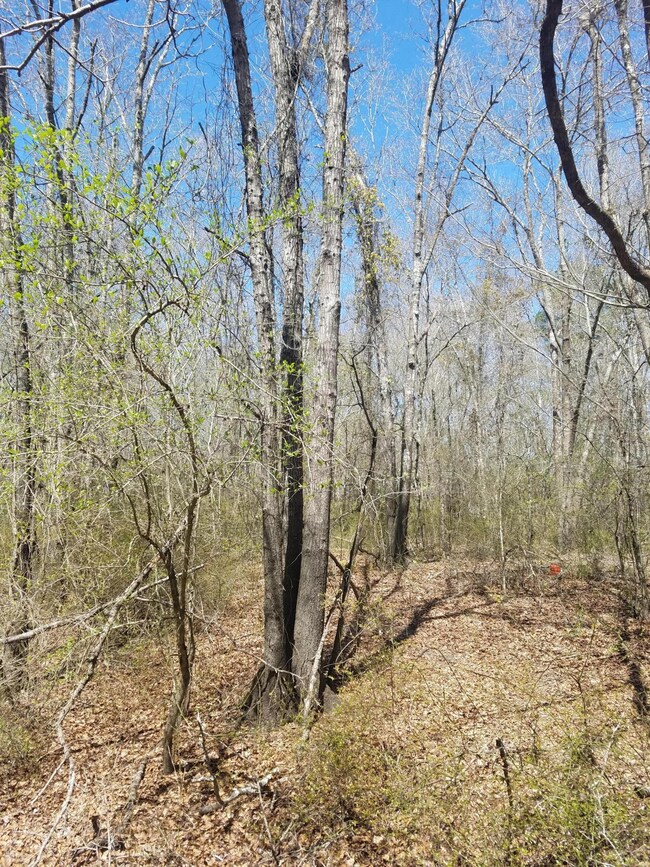 0 Ruddy Duck unit 100108774, Burgaw, NC 28425 - photo 3