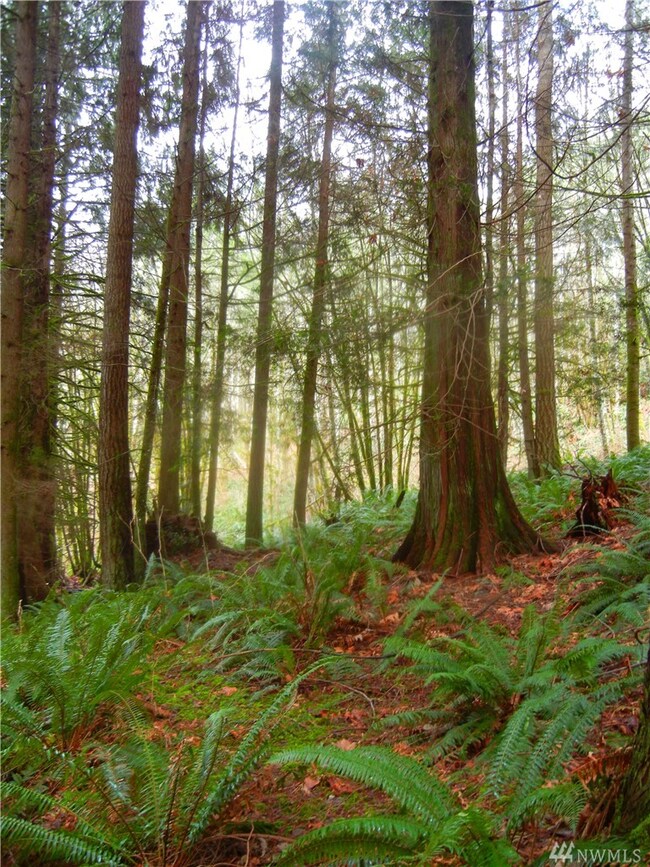 12409 Mountain Loop Hwy, Granite Falls, WA 98252 - photo 4