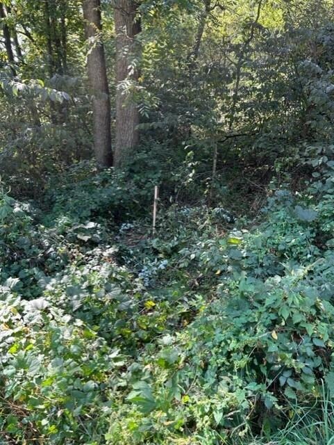 Lot 1 Horan Rd, Brooklyn, WI 53521 - photo 2