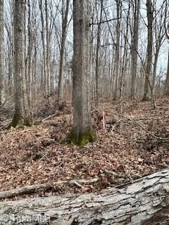 6401 Sable Ln, Greensboro, NC 27406 - photo 6