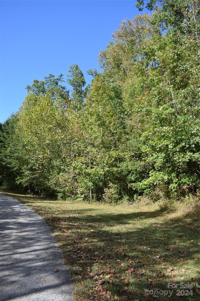 0 Holland Dr unit 3 CAR4192282, Columbus, NC 28722 - photo 3