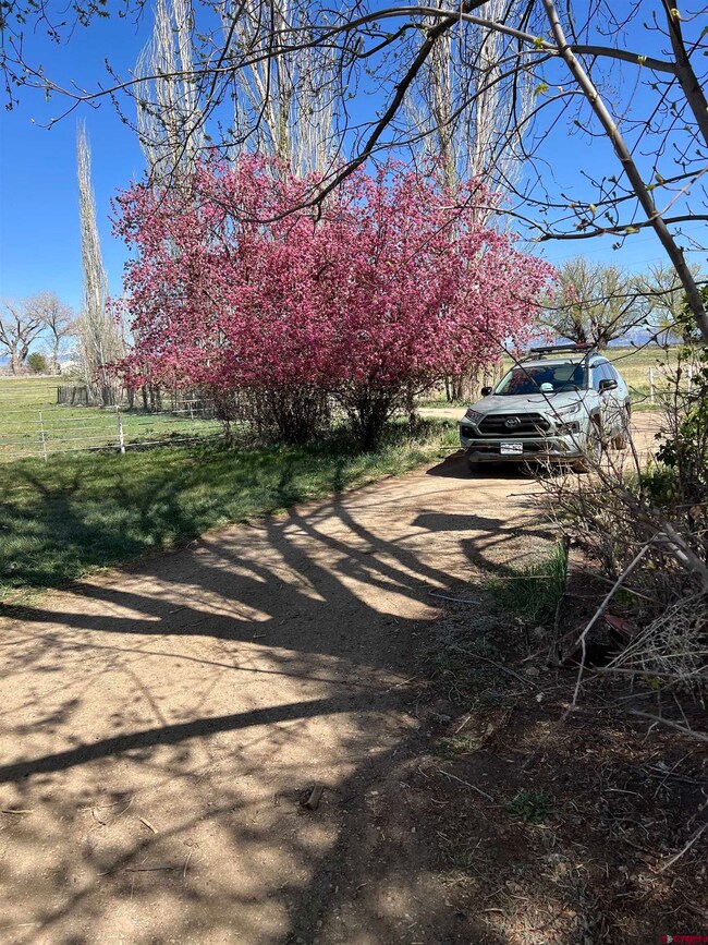 15247 Road 22, Dolores, CO 81323 - photo 3