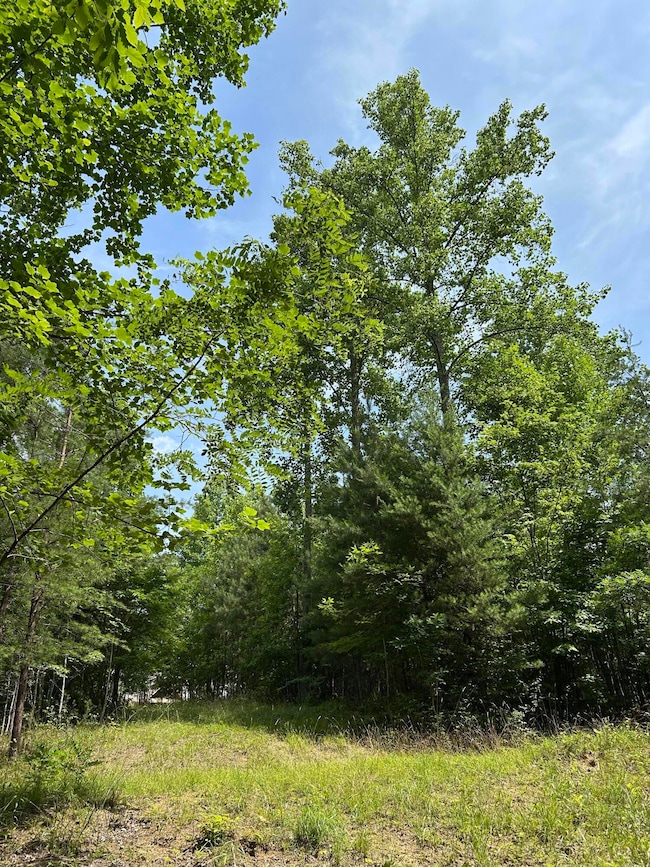 1255 Cherokee Path, Jasper, TN 37374 - photo 3