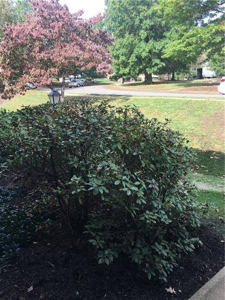 View from front of 206 Olde Ingomar Court