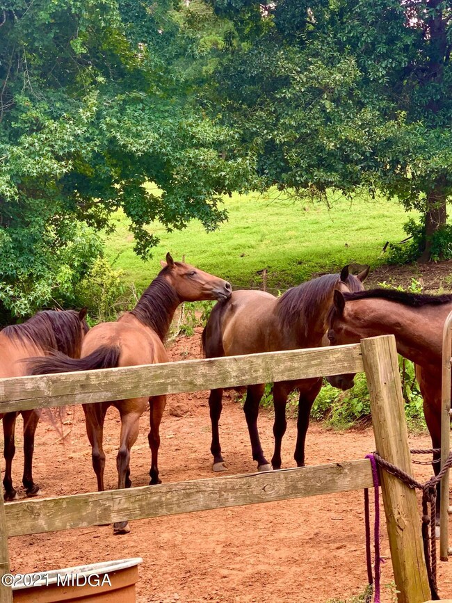 583 Homer Roberts Rd, Gray, GA 31032 - photo 5