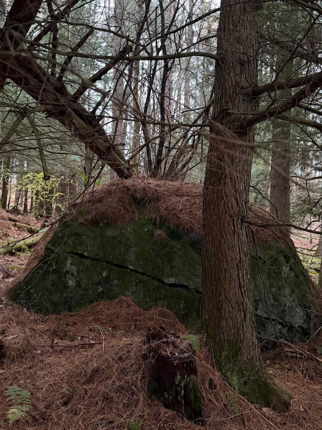 416 N Cambridge Rd, Cambridge, VT 05444 - photo 2