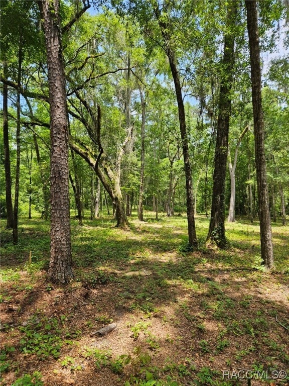 0 NW 83rd Court Rd unit 850146, Ocala, FL 34482 - photo 7