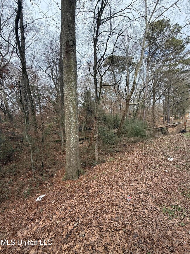 01 N Jordan St, Carthage, MS 39051 - photo 5