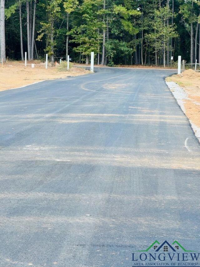 159 Big Oaks Rd, Kilgore, TX 75662 - photo 2