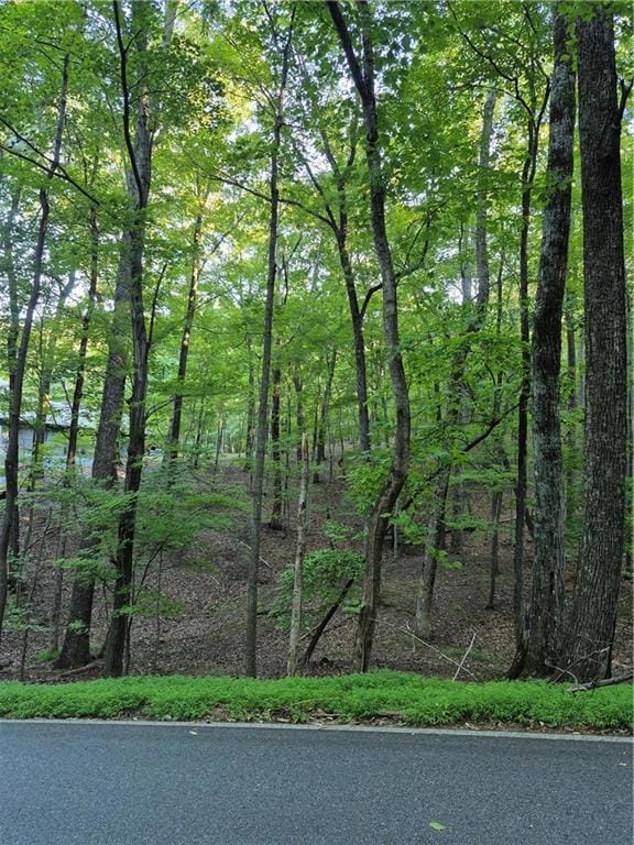 263 Wake Robin Dr, Big Canoe, GA 30143 - photo 4