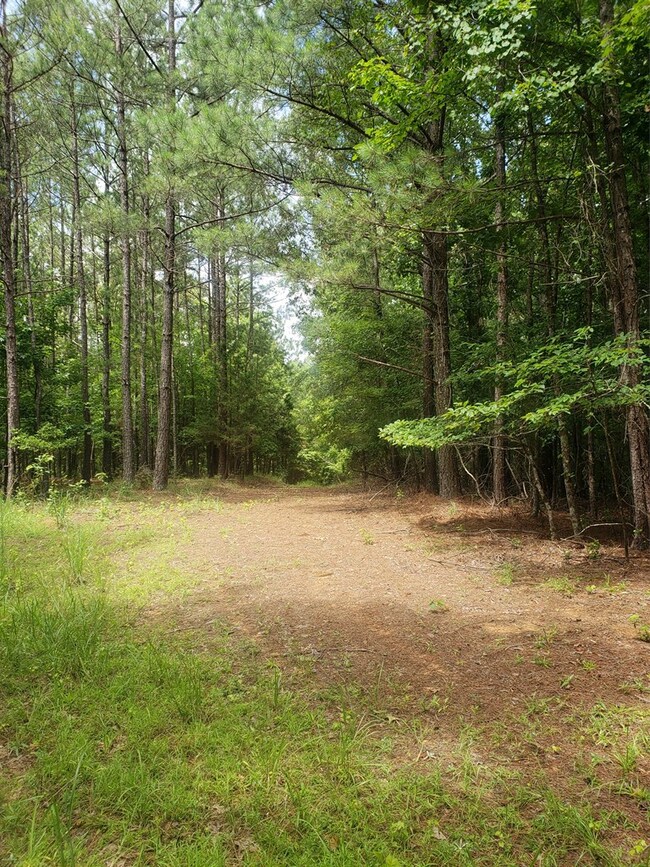 106 Westminster Dr, Oxford, MS 38655 - photo 7