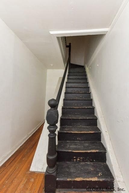 250 Yates St, Albany, NY 12208 - photo 2