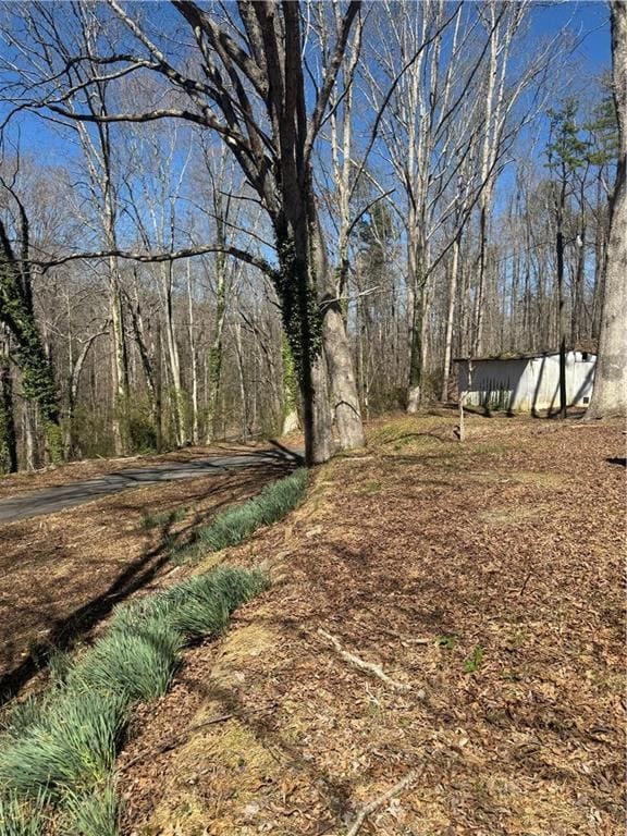 View of yard with a view of trees