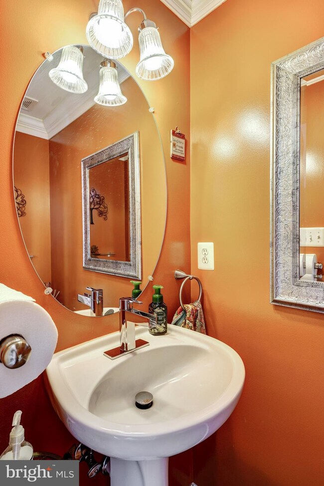 6236 Shackelford Terrace, Alexandria, VA 22312 - photo 6