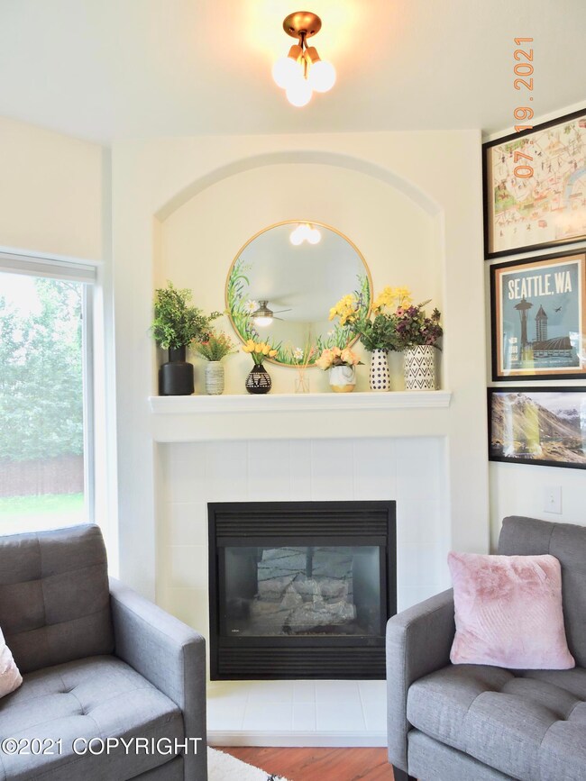 GAS FIREPLACE