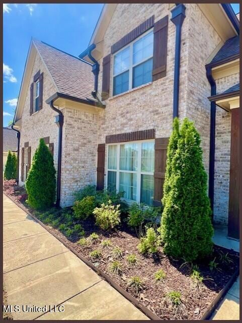 3445 SCOTT - FRONT - CLOSE OF FLOWER BED