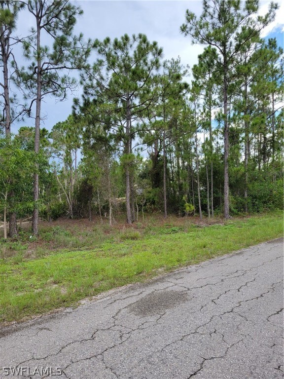 828 Gedeon Rd, Lehigh Acres, FL 33974 - photo 3