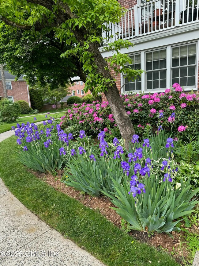 141 Putnam Park unit 141, Greenwich, CT 06830 - photo 2