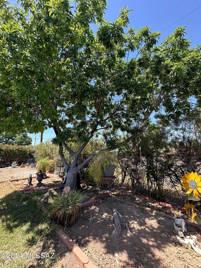 3342 S Tahoe Dr, Tucson, AZ 85730 - photo 4