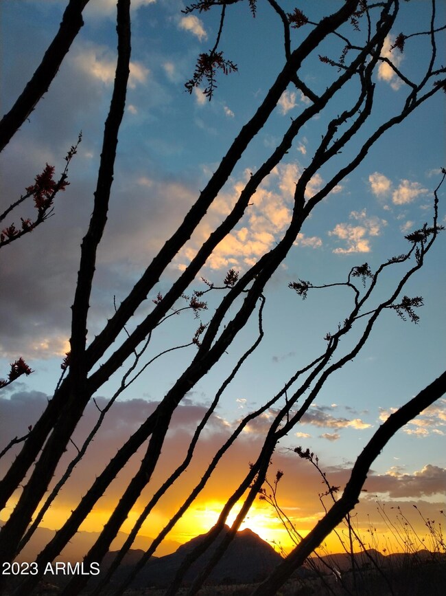 127 N Lupine Rd unit 23, Bisbee, AZ 85603 - photo 6