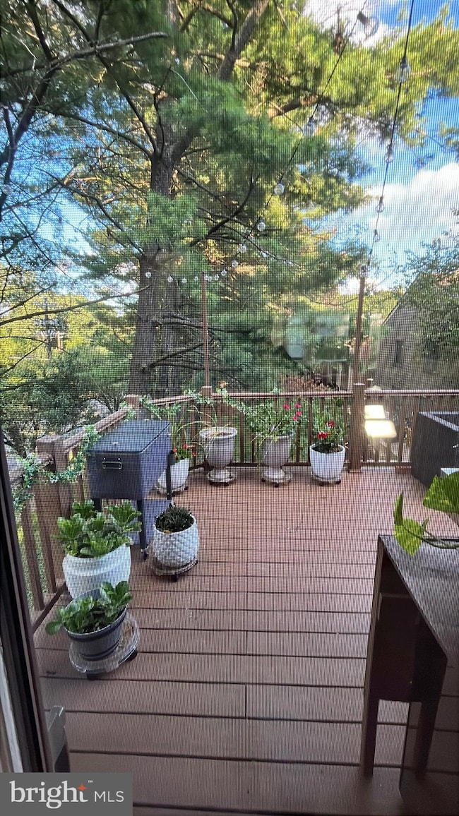 5985 Valerian Ln, Rockville, MD 20852 - photo 6