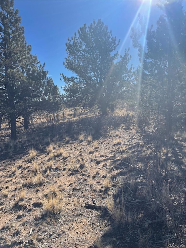 00 Oak St, Hartsel, CO 80449 - photo 7