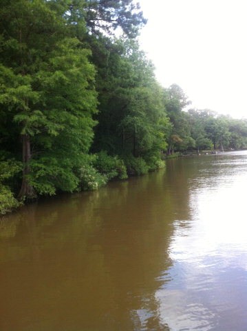 Additional View