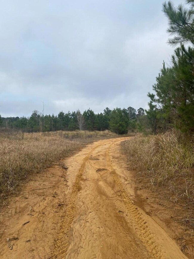Road into property