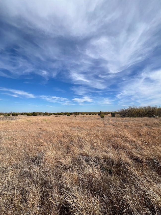 TBD Mathews Sur 52, Santa Anna, TX 76878 - photo 5