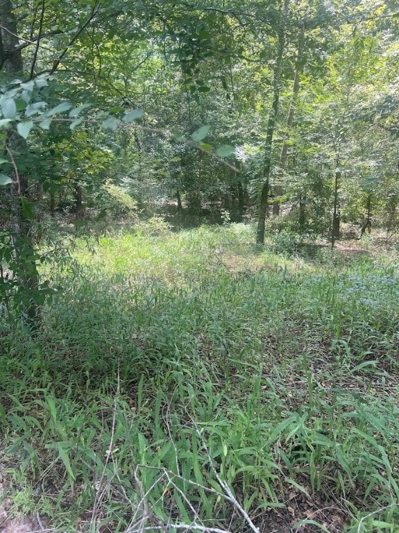 761 Addies Aly, Jesup, GA 31545 - photo 3