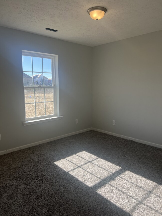 111 Hidden, Shelbyville, TN 37160 - photo 4