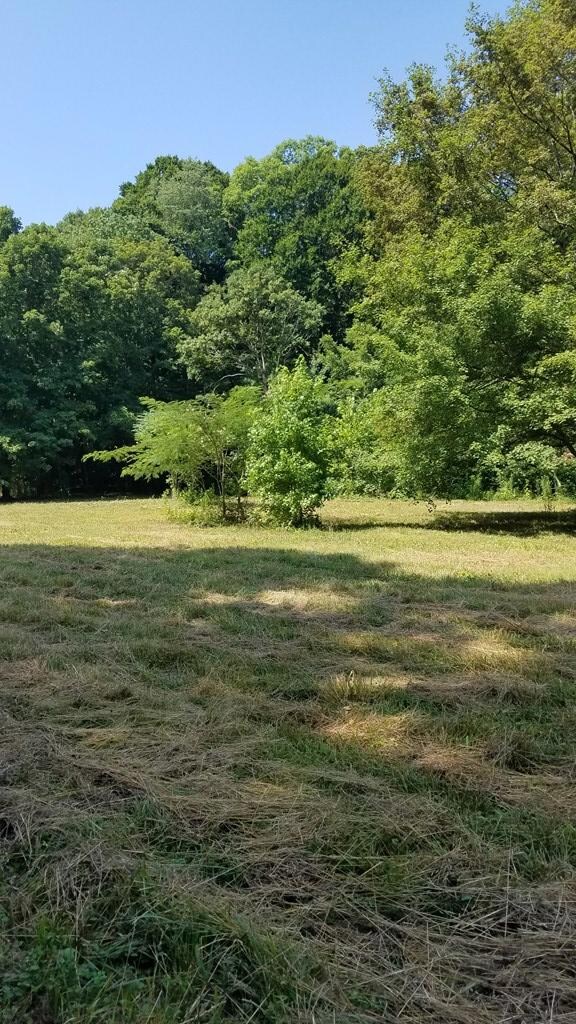 295 Old Mathis Hollow Ln, Stewart, TN 37175 - photo 2