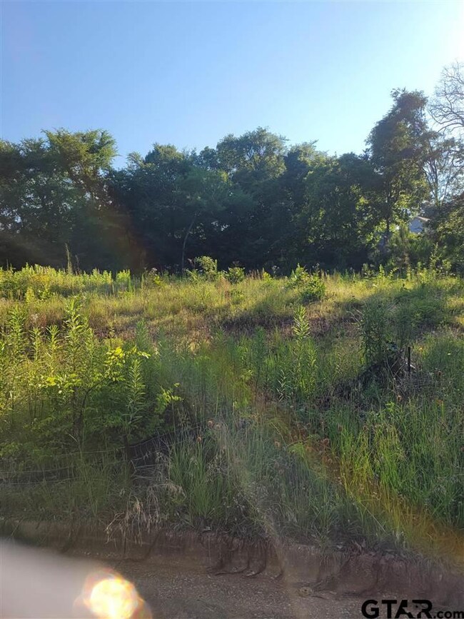 1243 Rainmaker, Tyler, TX 75703 - photo 6