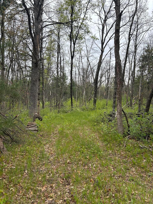 6986 W Baldwin Rd, Baldwin, MI 49304 - photo 2