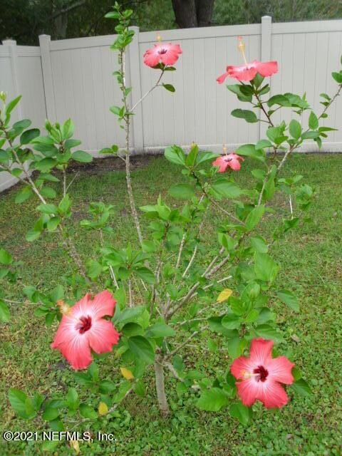 9012 Kipper Dr, Jacksonville, FL 32211 - photo 6