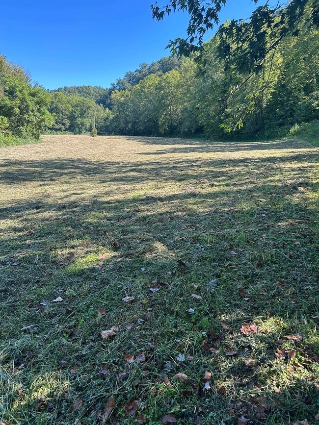 963 Pricey Creek Rd, Salyersville, KY 41472 - photo 6