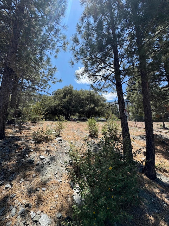 5236 Desert View Dr, Wrightwood, CA 92397 - photo 3