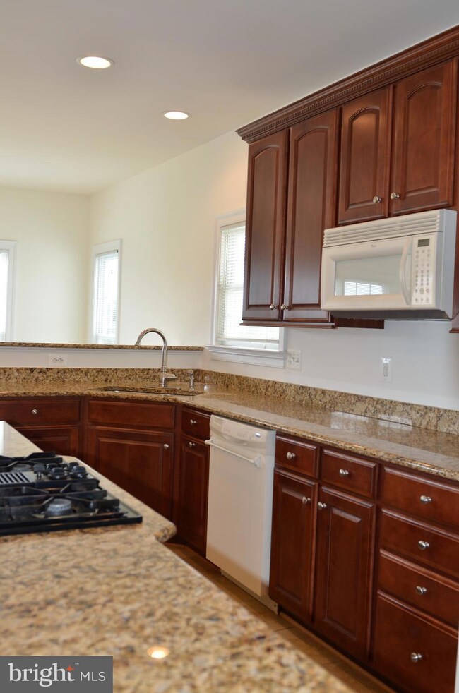 16607 Goldencrest Cir, Purcellville, VA 20132 - photo 4