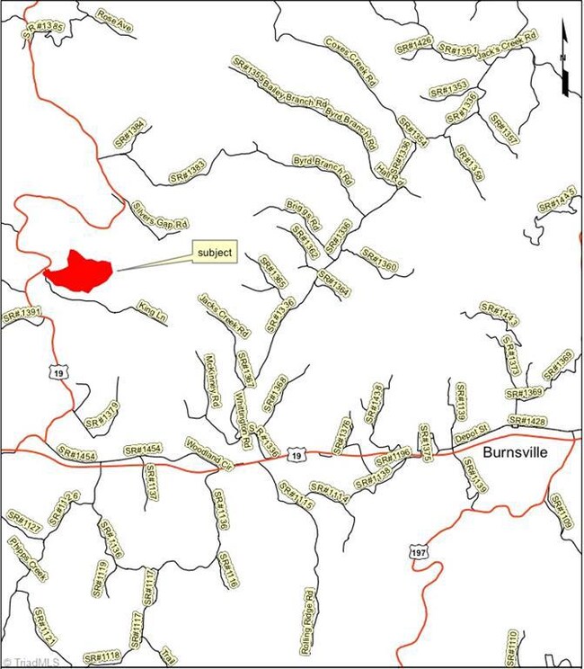 73 Langford Branch Rd, Burnsville, NC 28714 - photo 5