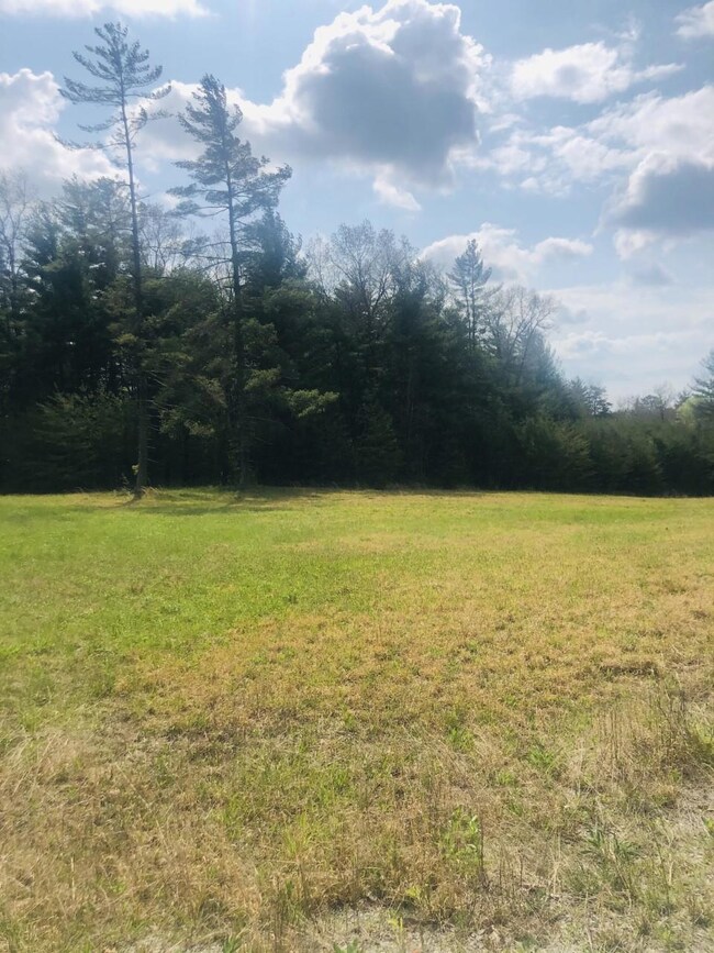 Lot 29-3