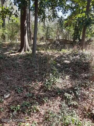 0 First St unit 100427666, Ayden, NC 28513 - photo 7