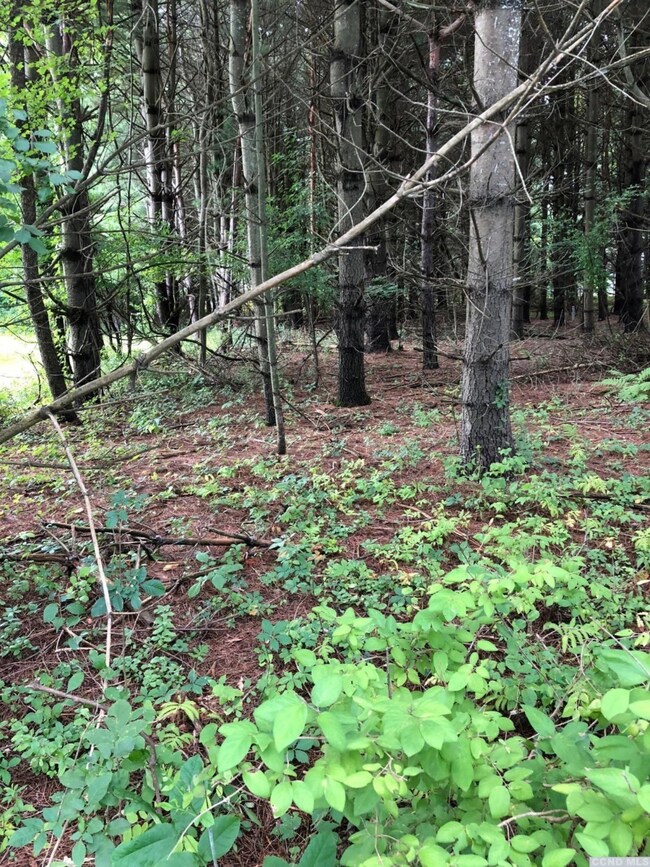 13 - C Sleepy Hollow Rd, Coxsackie, NY 12051 - photo 7