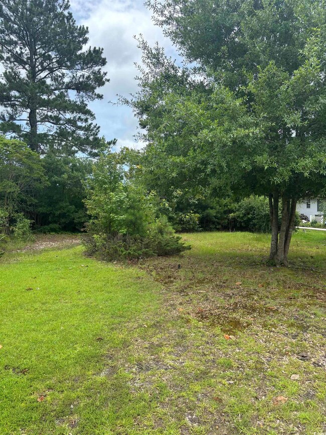 View of grassy yard